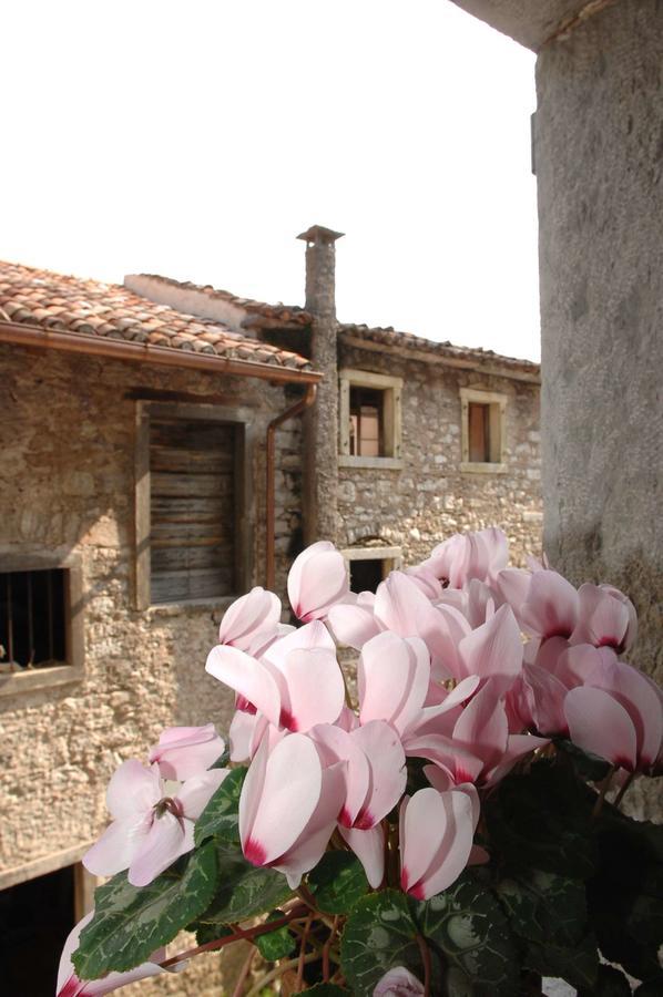 Albergo Diffuso Valcellina E Val Vajont In Erto Zewnętrze zdjęcie